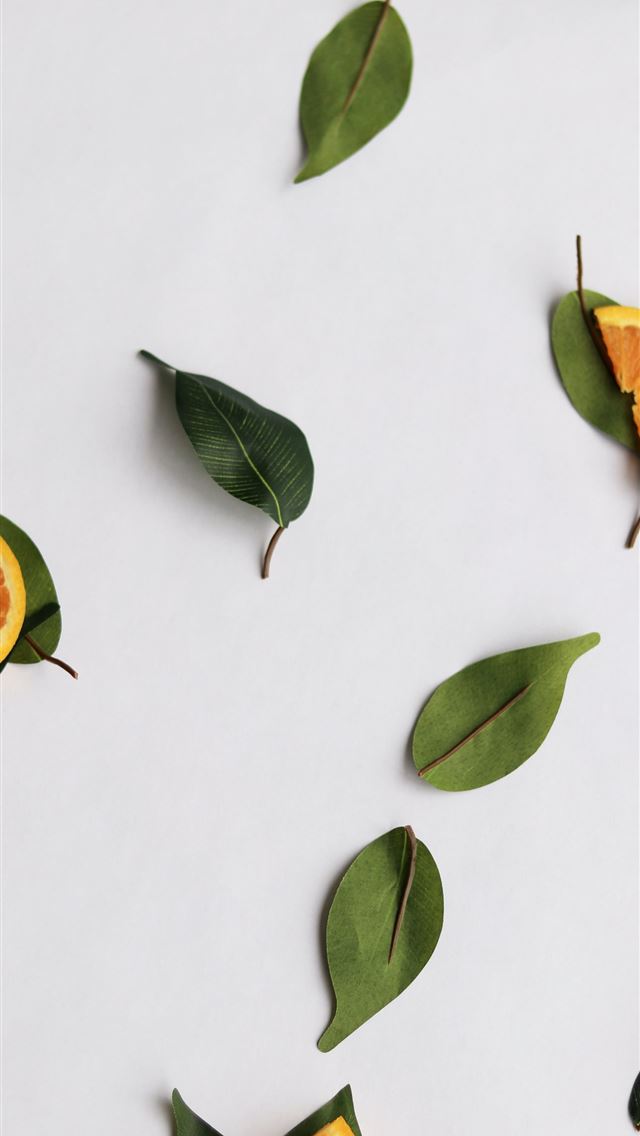 1290x2796 green leaves on white surface - minimalist iPhone Wallpaper