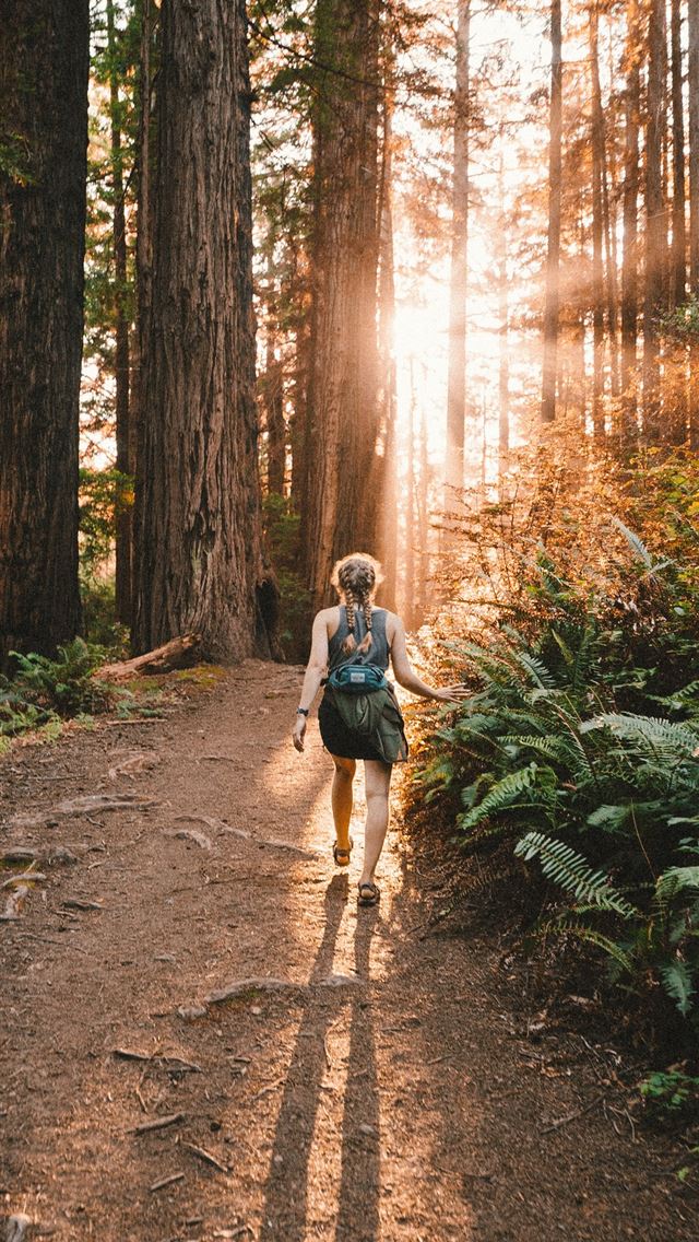 1290x2796 a woman walking down a path in the woods - woods iPhone Wallpaper