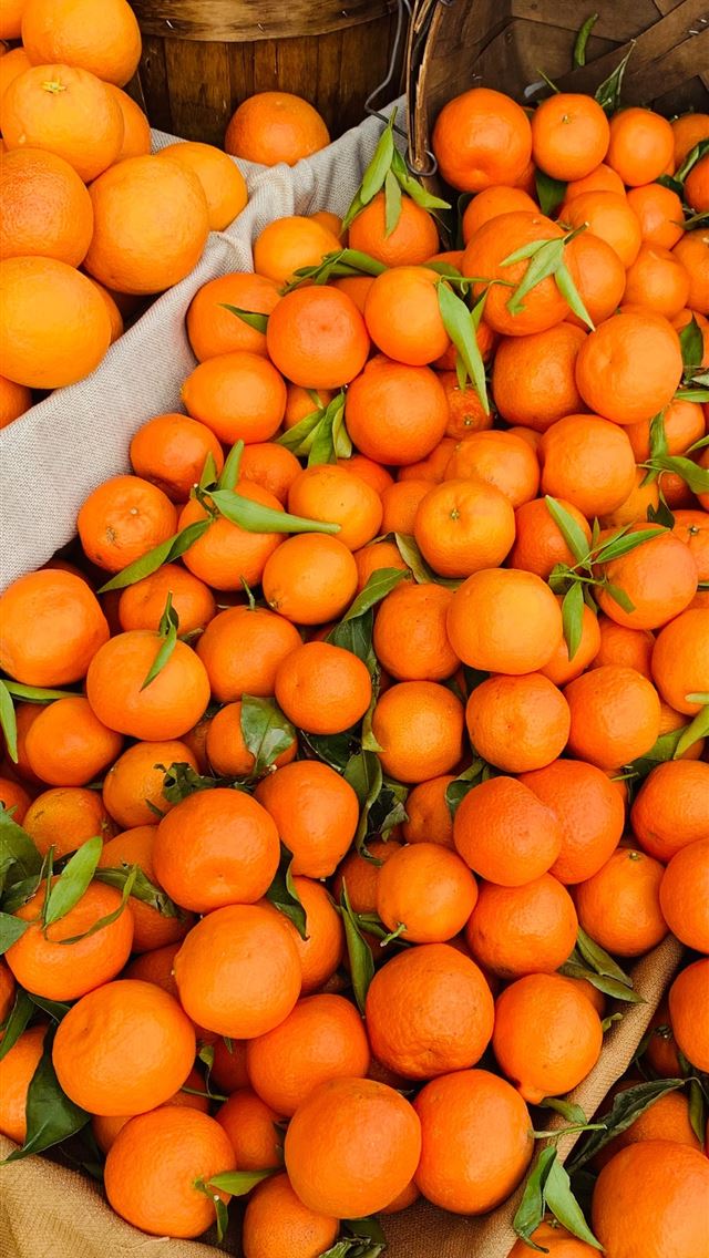 1290x2796 pile of orange fruits - food iPhone Wallpaper
