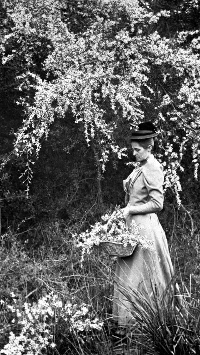 1242x2688 woman standing under tree -  iphone 15 Wallpaper