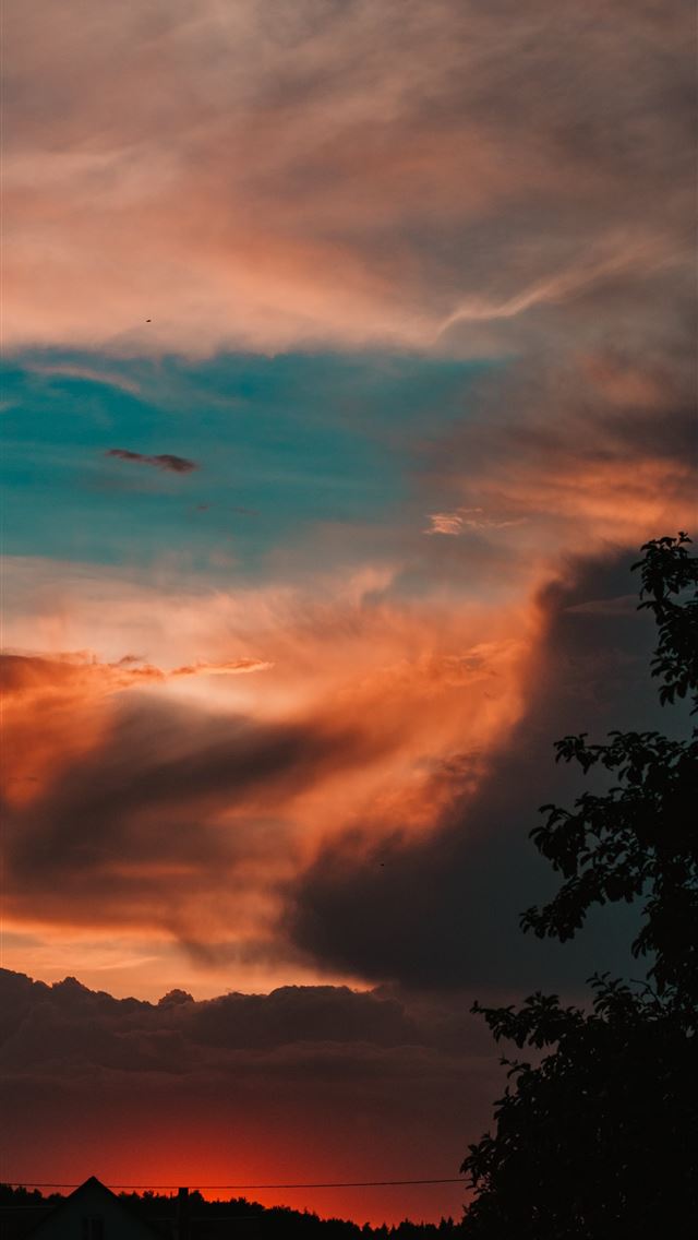 1290x2796 silhouette photography of tree during golden hour - clouds iPhone Wallpaper