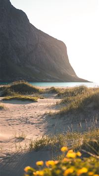 black grass field planted on sand wallpaper