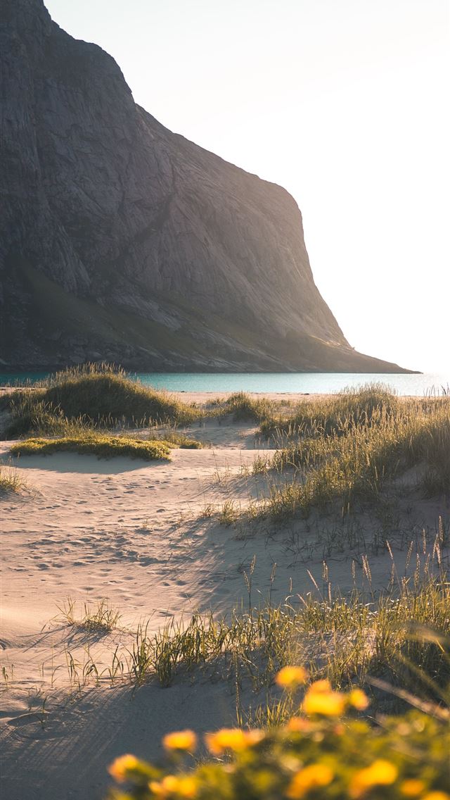 1290x2796 black grass field planted on sand -  iphone 15 Wallpaper