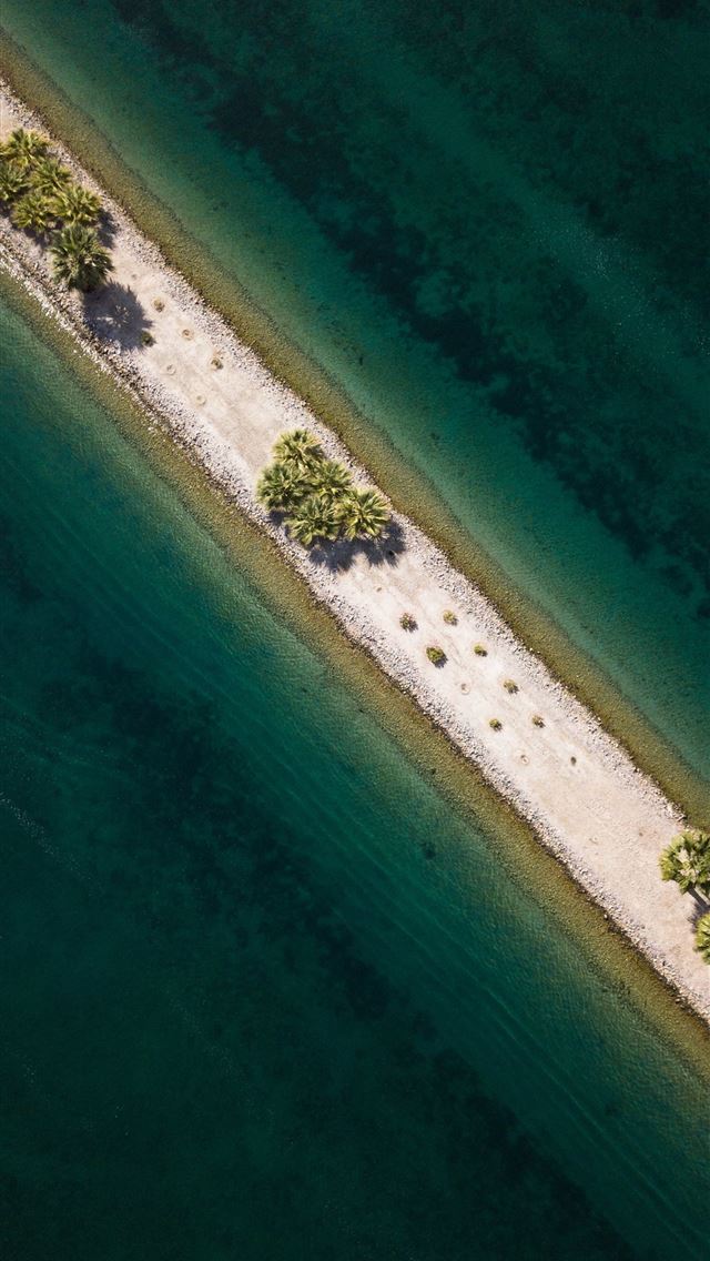 1290x2796 aerial view of body of water and green leafed tree... - desert iPhone Wallpaper