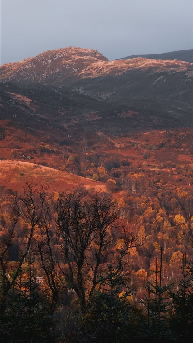 1290x2796 brown and black tundra at dusk -  iphone 15 Wallpaper