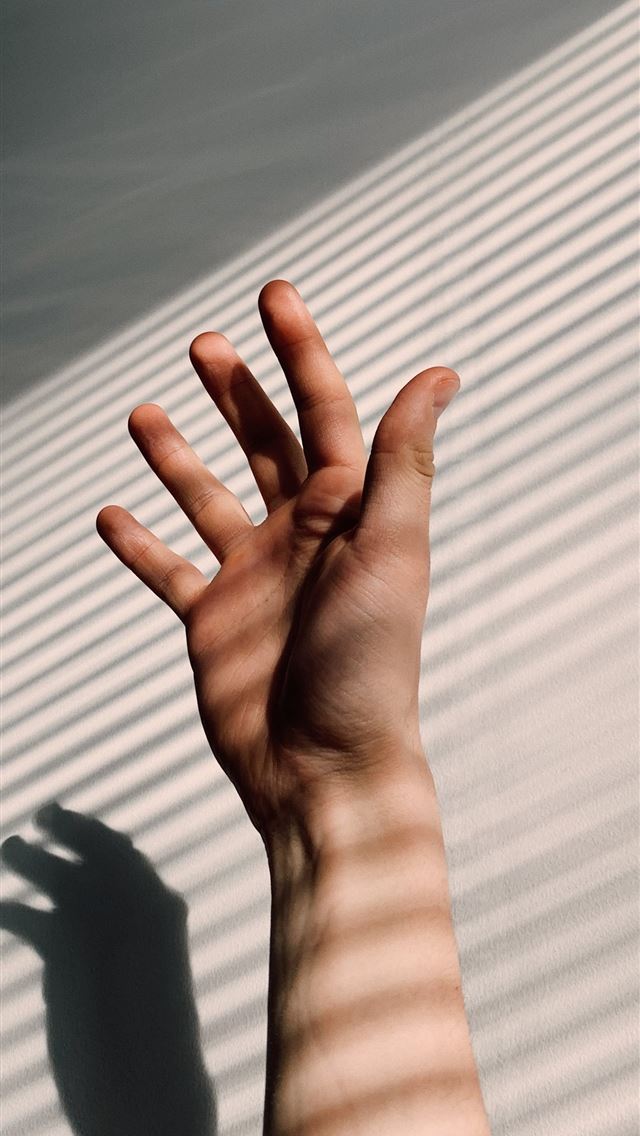 1290x2796 persons left hand on white window blinds - palm tree iPhone Wallpaper