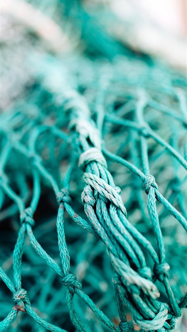 1290x2796 green fish net in shallow focus photography - teal iPhone Wallpaper