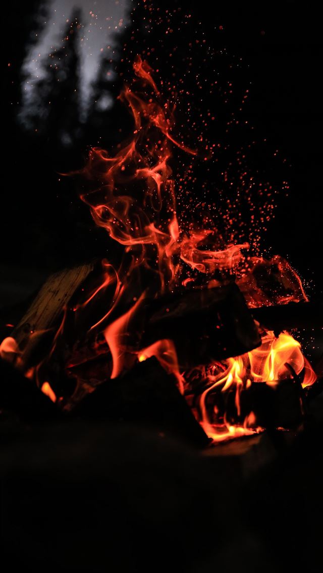 1290x2796 bonfire at forest -  iPhone Wallpaper