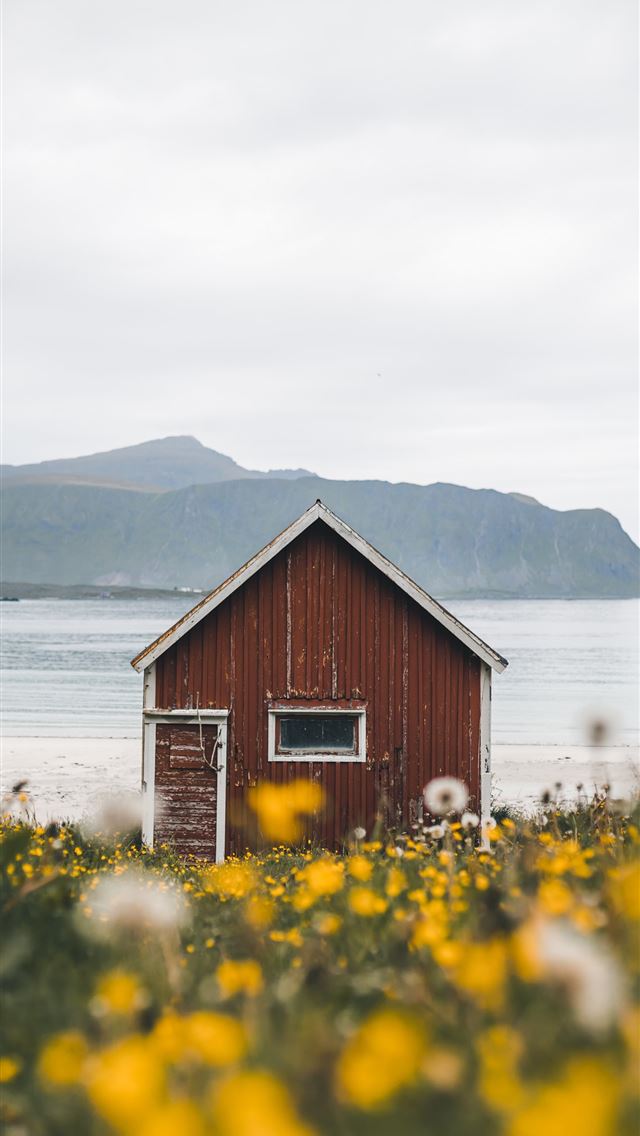 1290x2796 brown house near water during daytime - flower iPhone Wallpaper