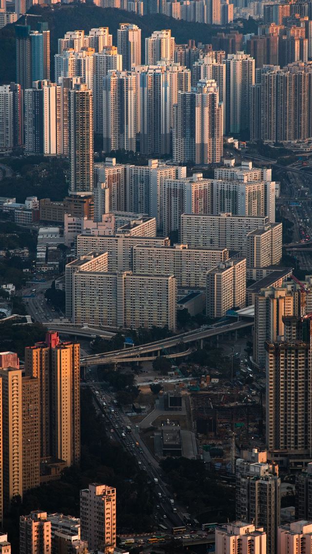1290x2796 aerial view of city buildings during daytime - city iPhone Wallpaper