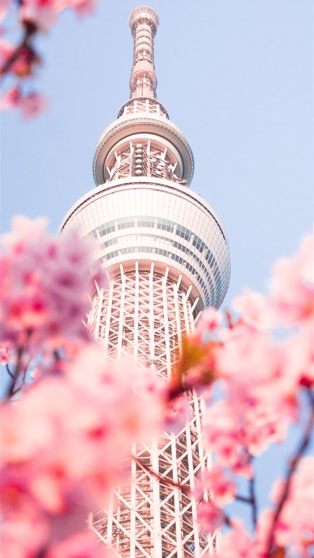 1290x2796 white and brown concrete building under blue sky d... - summer iPhone Wallpaper