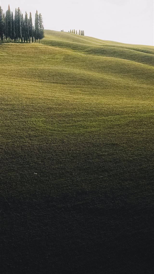 1290x2796 green grass field during daytime - beautiful iPhone Wallpaper