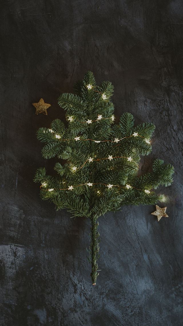 1290x2796 green Christmas tree on gray surface - holiday iPhone Wallpaper
