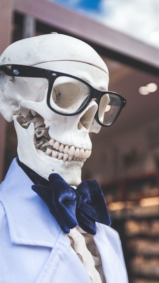 1290x2796 skeleton wearing eyeglasses and blue collared top - cartoon iPhone Wallpaper