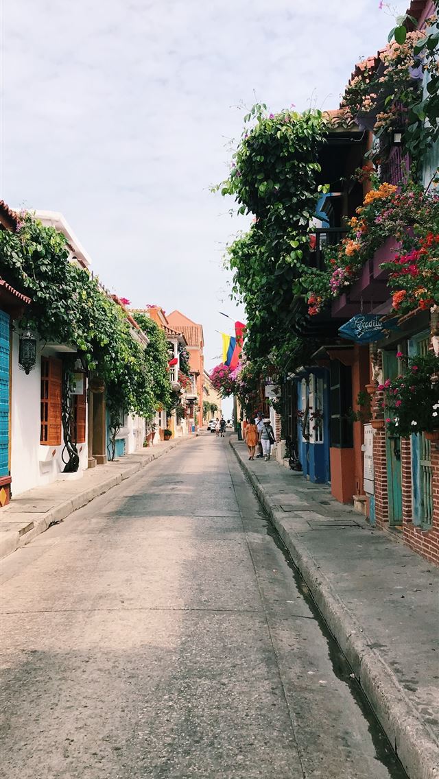 1290x2796 alley photography of road during daytime -  iphone 15 Wallpaper