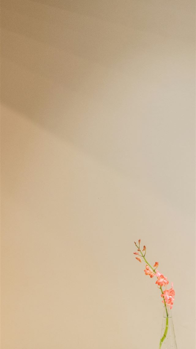 1290x2796 pink flowers with vase - purple iPhone Wallpaper