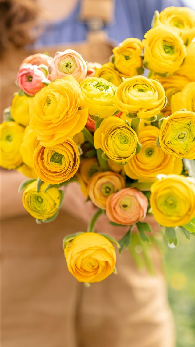 1290x2796 yellow rose bouquet in selective focus photography - beautiful iPhone Wallpaper