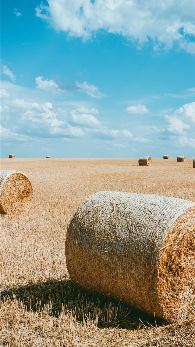 1290x2796 photography brown haystacks during daytime - clouds iPhone Wallpaper