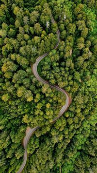 a winding road in the middle of a forest wallpaper