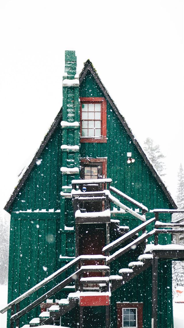 1290x2796 time lapse photography of snow falling over green ... - house iPhone Wallpaper
