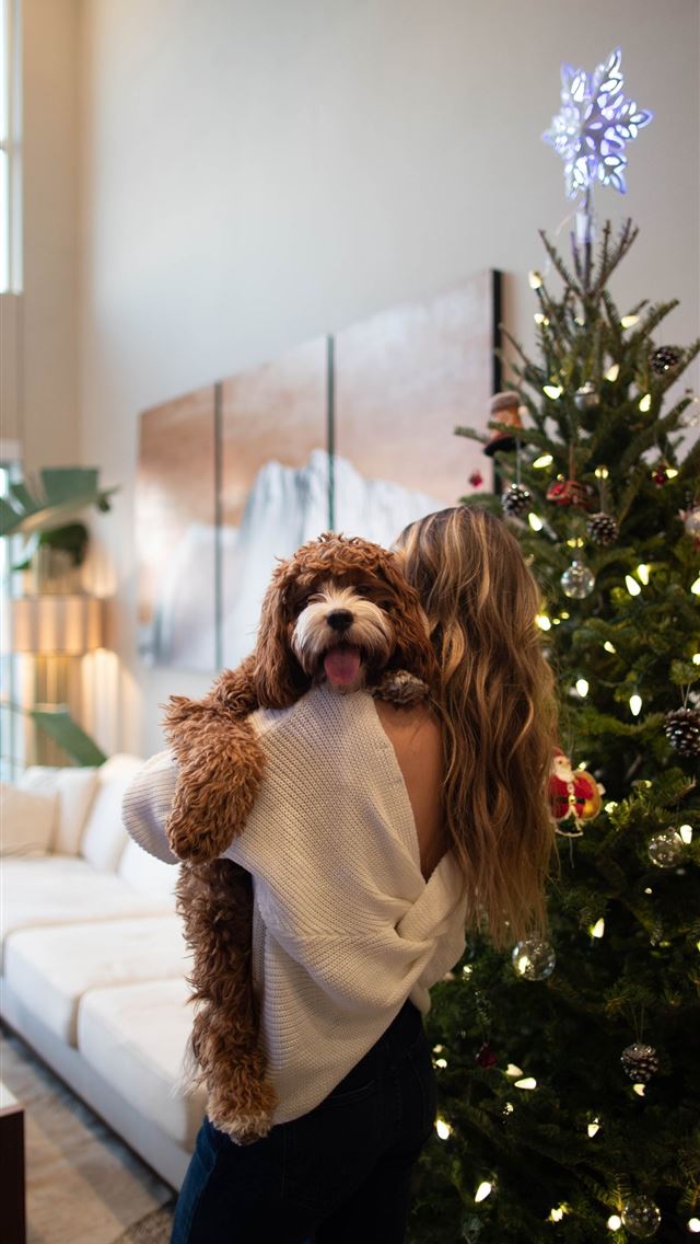 1290x2796 woman carrying dog beside Christmas tree - christmas iPhone Wallpaper