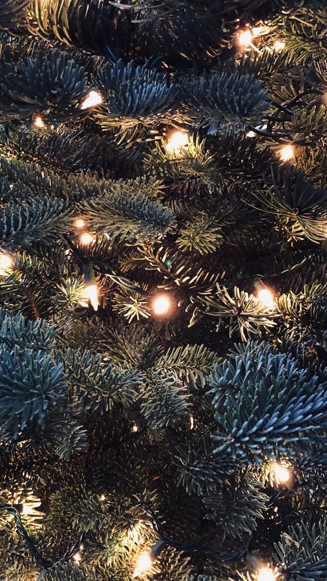 1290x2796 green Christmas tree with LED light - holiday iPhone Wallpaper