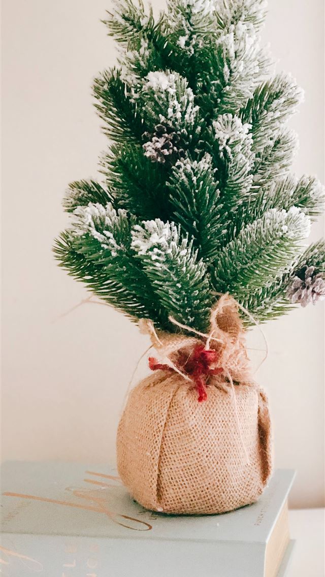 1290x2796 Christmas tree - christmas tree iPhone Wallpaper
