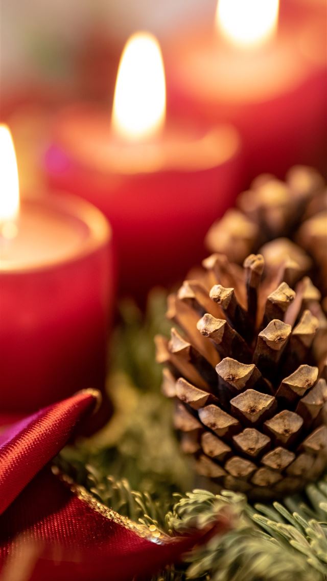 1290x2796 brown pinecone -  iphone 15 Wallpaper