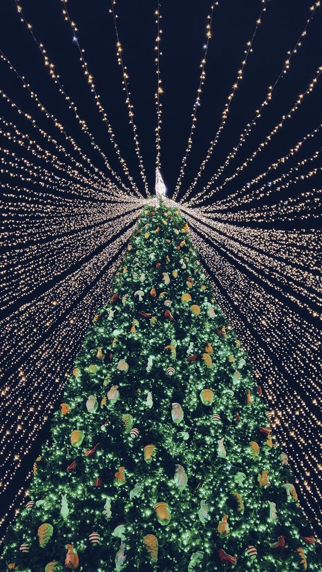 1290x2796 green and yellow christmas tree - grey iPhone Wallpaper