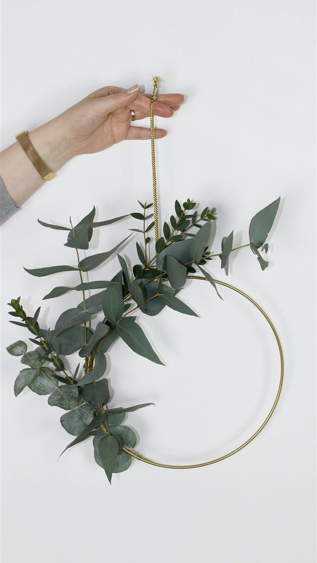 1290x2796 green hanging leaf decor - flower iPhone Wallpaper