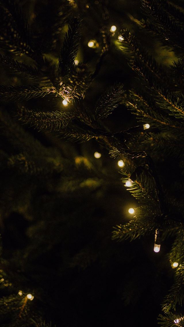 1290x2796 lighted Christmas string lights -  iphone 15 Wallpaper
