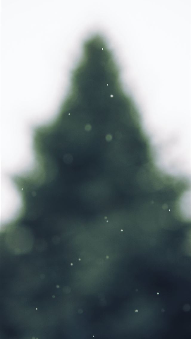 1290x2796 green tree -  iphone 15 Wallpaper