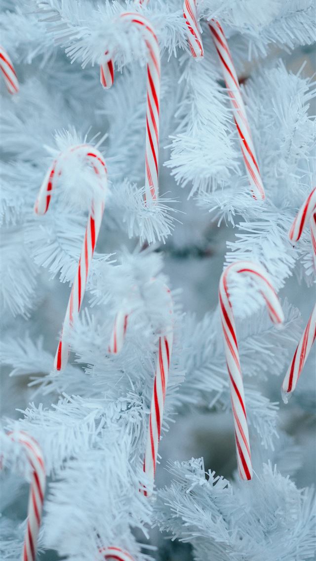 640x1136 white snow on green pine tree -  iPhone Wallpaper