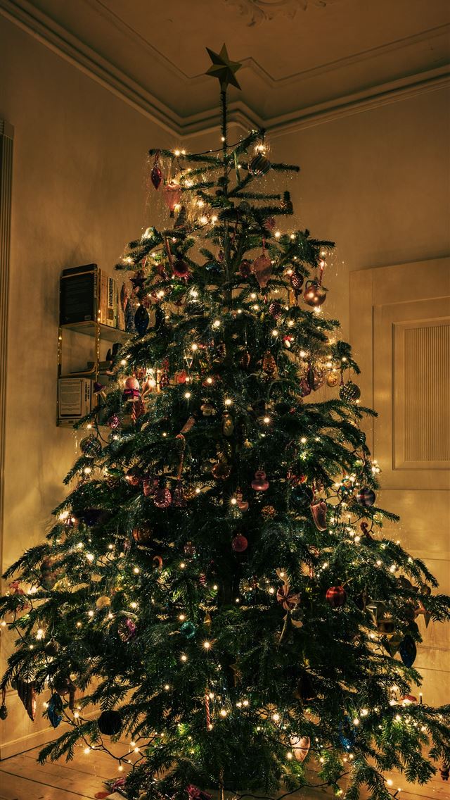 1290x2796 a lit christmas tree in the corner of a room - christmas tree iPhone Wallpaper