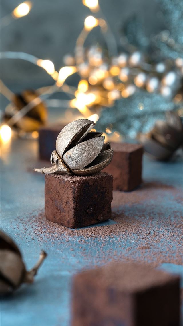 1125x2436 selective focus photo of gray nut ornament - flowers iPhone Wallpaper