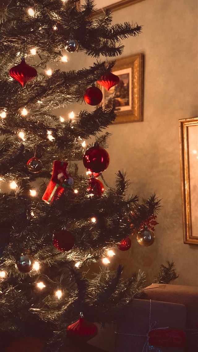 1290x2796 green Christmas tree - tree iPhone Wallpaper