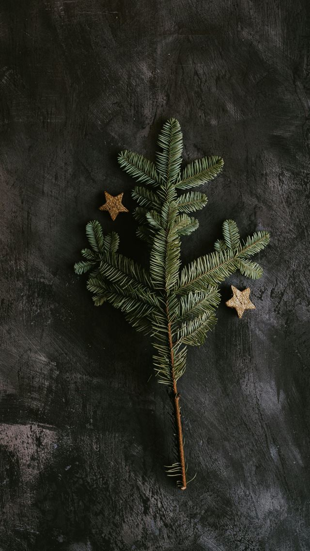 1290x2796 green pine tree on gray surface - stars iPhone Wallpaper
