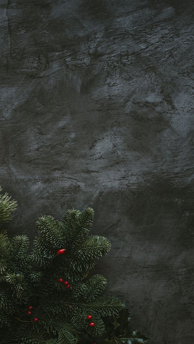1290x2796 green leaf - holiday iPhone Wallpaper