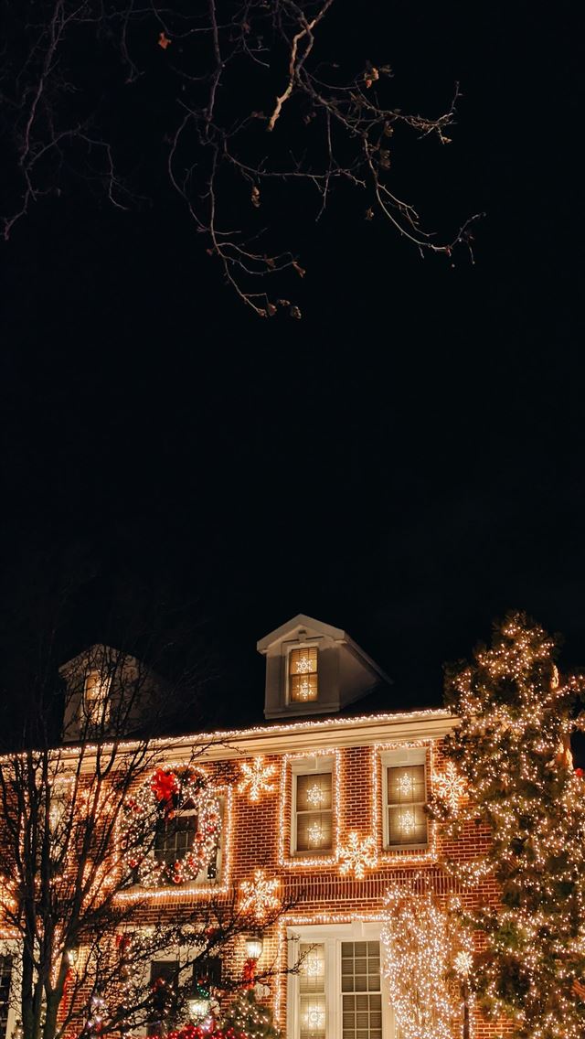 1290x2796 well lit house at night -  iphone 15 Wallpaper