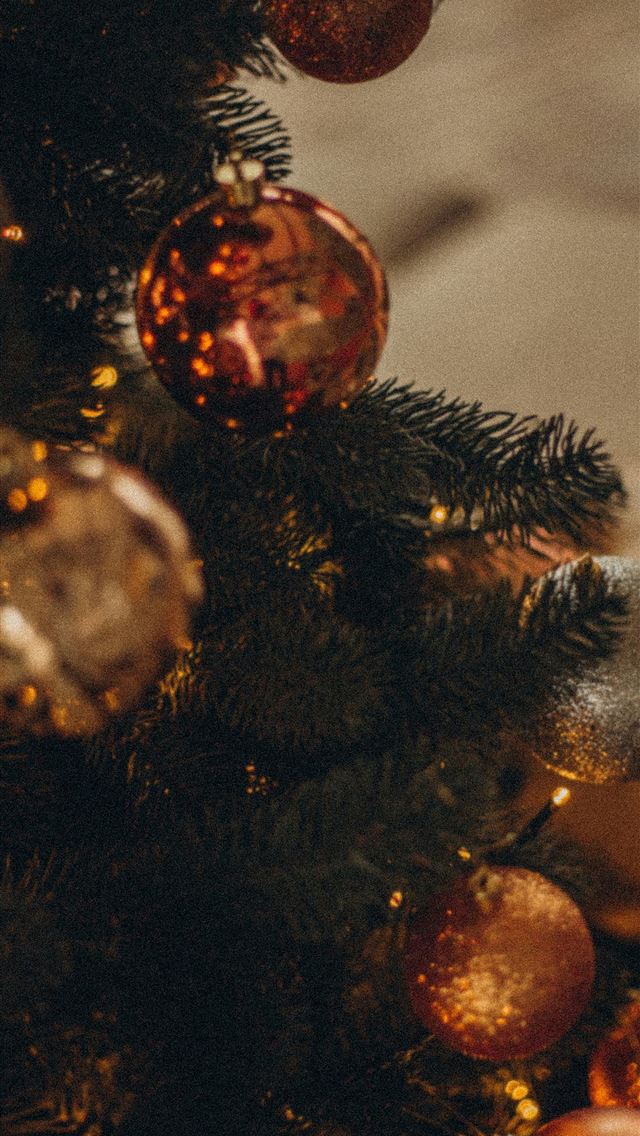 1290x2796 silver and brown beaded accessory - tree iPhone Wallpaper