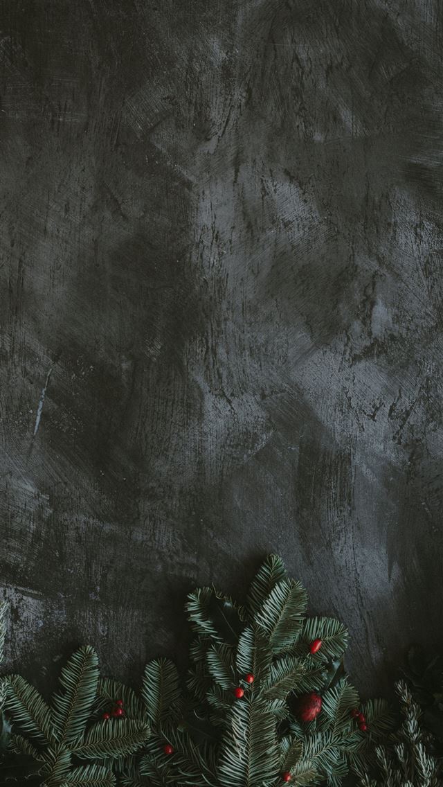 1290x2796 green leaf - holiday iPhone Wallpaper