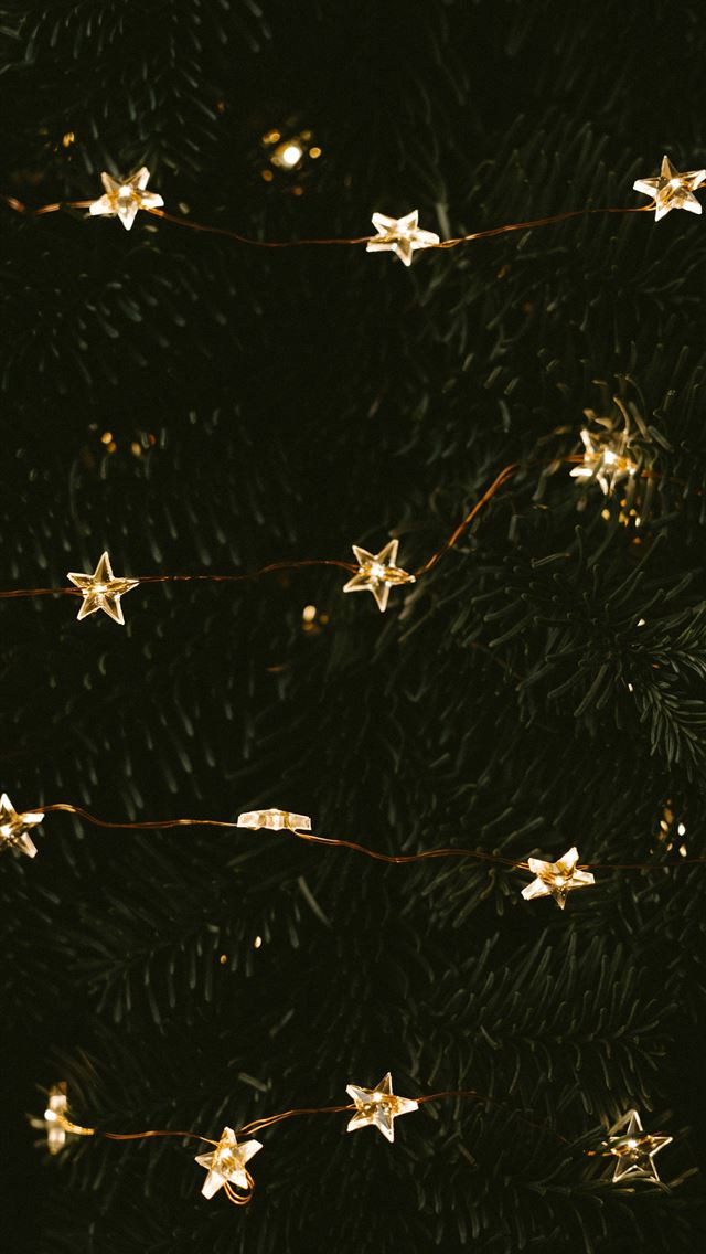1290x2796 lighted white star string light - flower iPhone Wallpaper