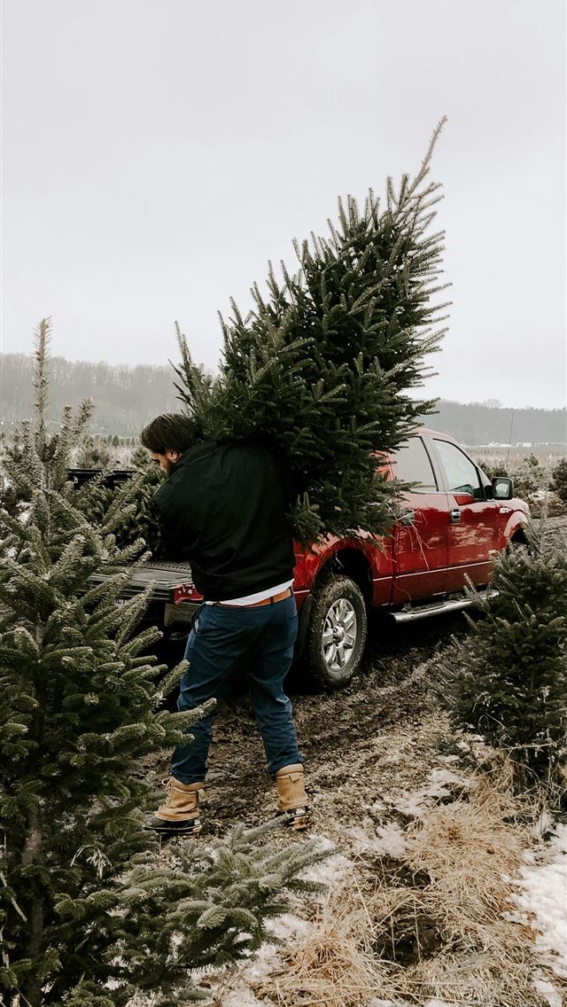 1290x2796 man carrying christmas tree - holiday iPhone Wallpaper