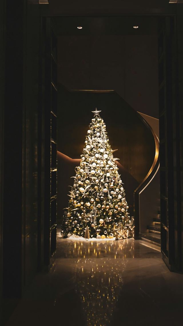 1290x2796 lighted christmas tree in room -  iphone 15 Wallpaper