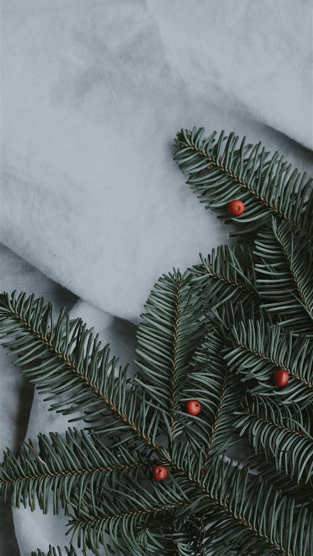 1290x2796 green cypress leaves on white cloth - holiday iPhone Wallpaper