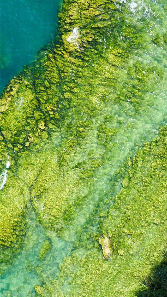 1290x2796 gray rock formation with moss - italy iPhone Wallpaper
