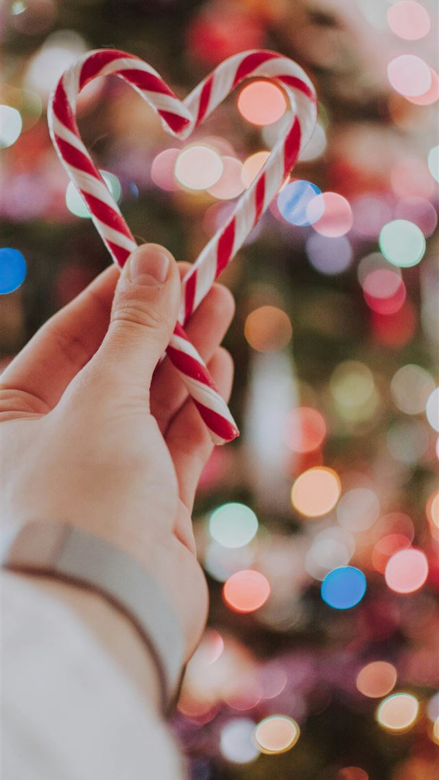 1290x2796 bokeh photography of person holding heart shaped c... - christmas iPhone Wallpaper