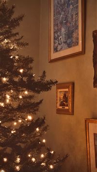 Christmas tree with turned on mini string lights n... wallpaper