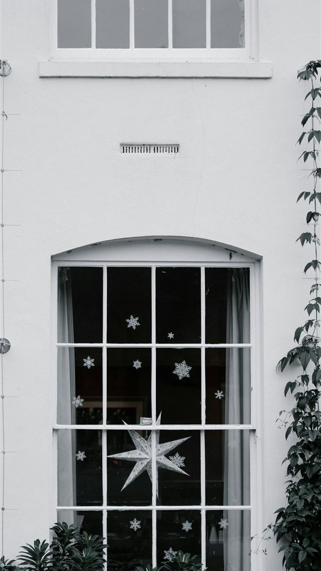 1290x2796 photo of white windowpane beside green leafed tree... - grey iPhone Wallpaper