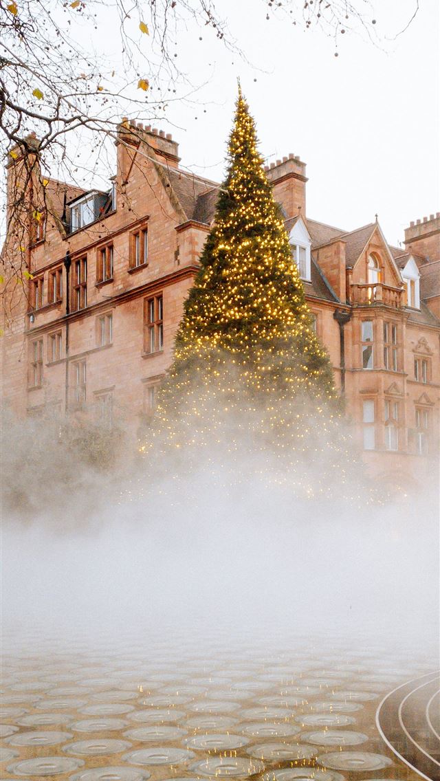 1290x2796 brown concrete building near green trees during da... - lights iPhone Wallpaper